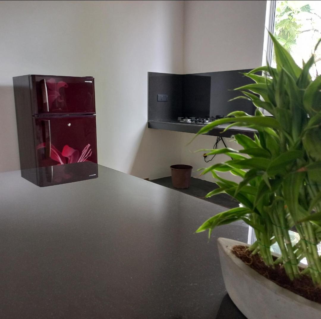 Mirissa Cocoon 호텔 외부 사진